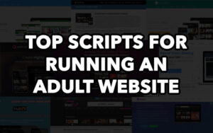 Top List of Adult Tube Scripts/CMS to Start Your Porn Website