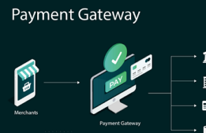 Top 10 Best Payment Processing Solutions for Adult Webmasters